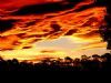 "Sunset"