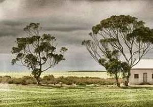 "Grey Sky "