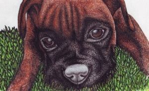 "Tyson"