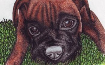 "Tyson"