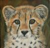 "Cheetah Cub"