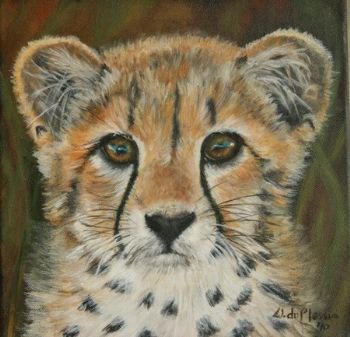 "Cheetah cub"