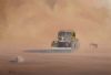 "Dust Storm"