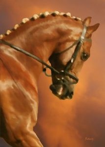 "Teasers Foal"