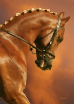 "Teasers Foal"