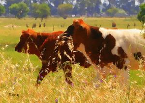 "Weaners"