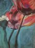 "Afghan Poppies"