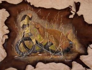 "Snake"