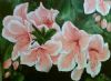 "Lilies"