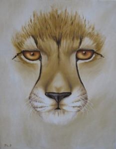 "Cheetah Portrait"