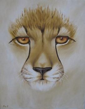 "Cheetah Portrait"