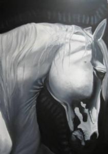 "White Stallion"