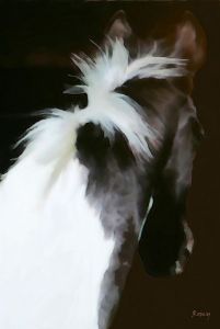 "Luxardo Stud Hiawatha"