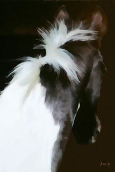 "Luxardo Stud Hiawatha"