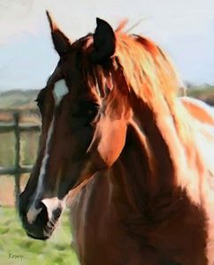 "Luxardo Stud Dageraad Dakota"