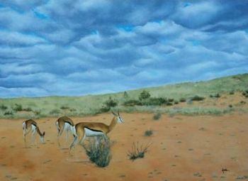 "Kgalagadi Landscape"