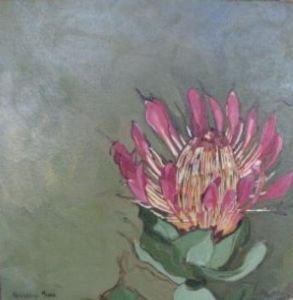 "Fynbos 6, Breeblaar Suikerbos"