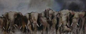 "Stampede"