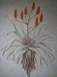 "Aloe"