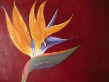 "Strelitzia on Red"