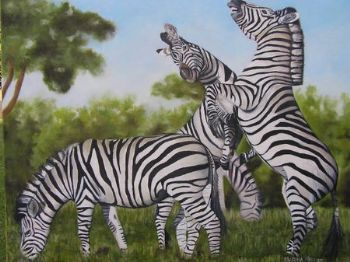 "Zebras"