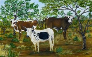 "Nguni Cattle"