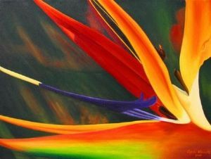 "Strelitzia Reginae"