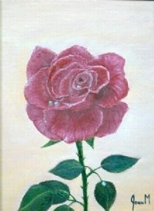 "Red Rose"