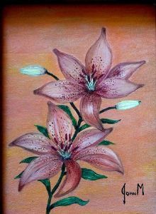 "Tiger Lily"