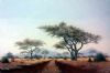 "Bushveld Mystery"