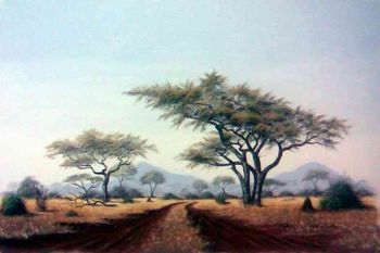 "Bushveld Mystery"