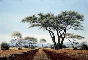 "Bushveld 9"