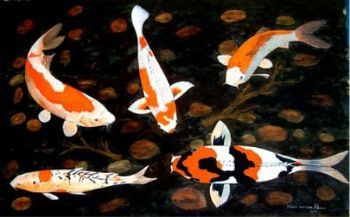 "Koi Fish"