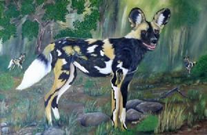 "wild dog"