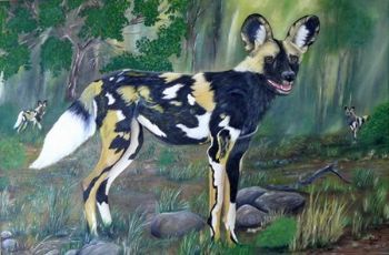 "wild dog"