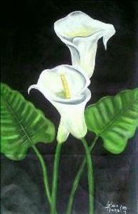 "White Lily"
