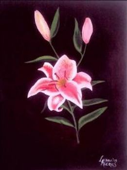 "Lily"