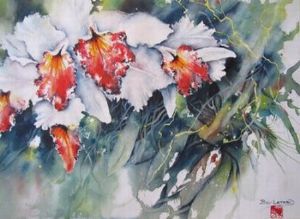 "Orchid Splendour"