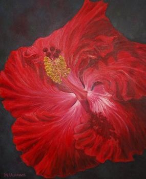 "Hibiscus"