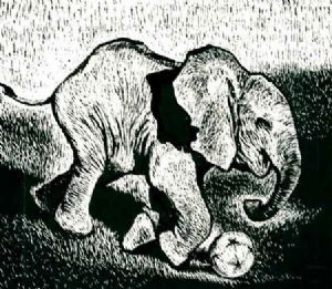 "2010 elephant!"