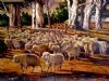 "Merino and Bluegums"