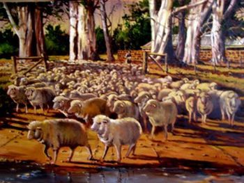 "Merino and Bluegums"