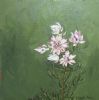 "Fynbos 29 Blushing Bride"