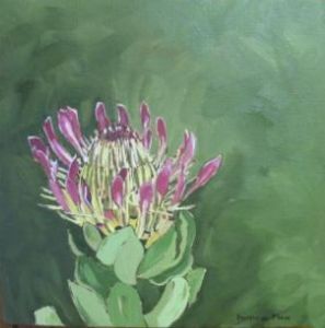 "Fynbos 35, Breeblaar Suikerbos"