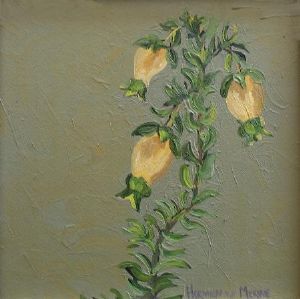 "Fynbos 37, Erica Blenna"
