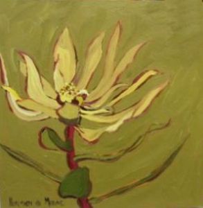 "Fynbos 40, Leacadendron Gydoense"