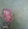 "Fynbos 63, Protea Susannae"
