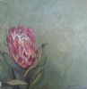 "Fynbos 63, Protea Susannae"