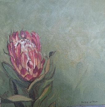 "Fynbos 63, Protea Susannae"