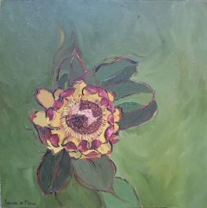 "Fynbos 55, Protea Effusa"